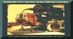 bella1982.gif (76610 byte)